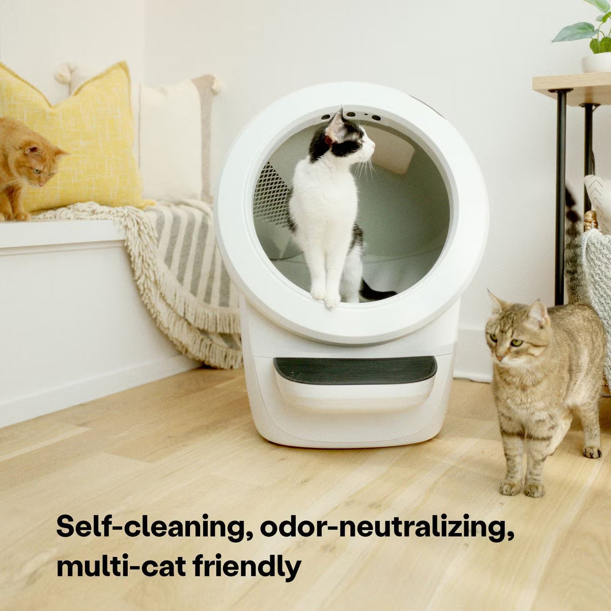 Smart Cat Litter Box