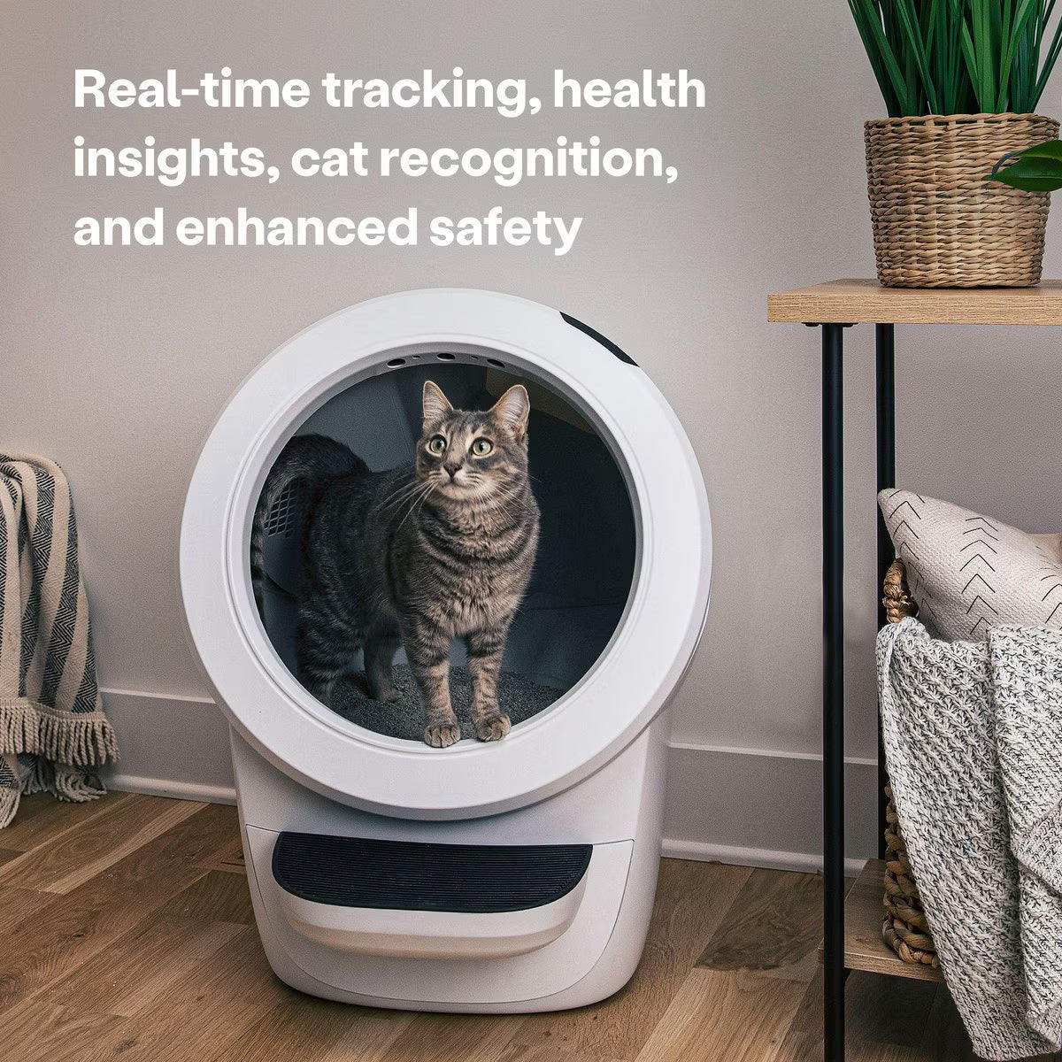 Smart Cat Litter Box